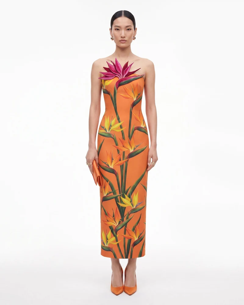 Robe midi colonne sans bretelles à appliqués Oiseau de paradis - Orange