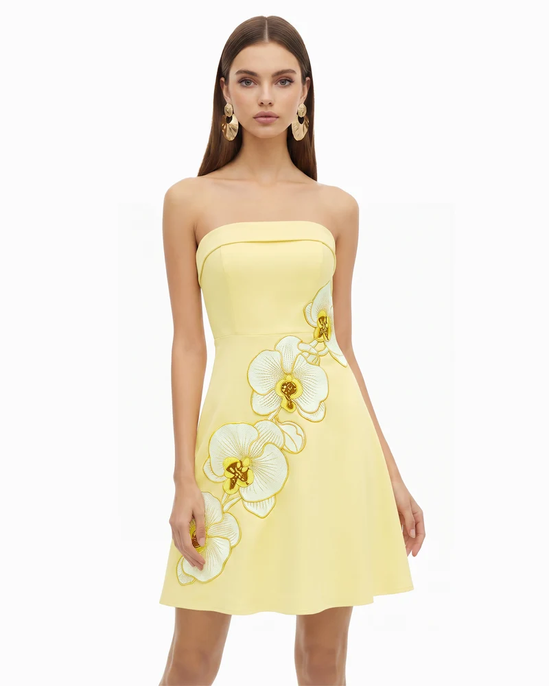 Orchid Robe Midi Patineuse Bandeau Broderie - Jaune Pâle