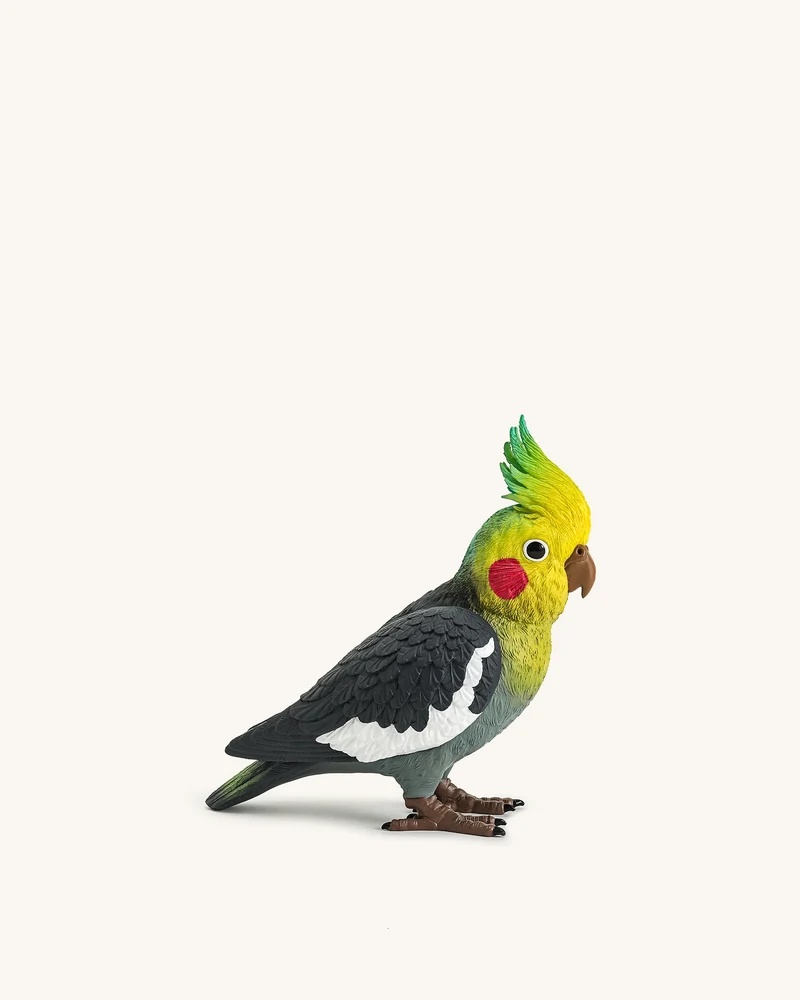 Pochette Gray Cockatiel – Multicolore